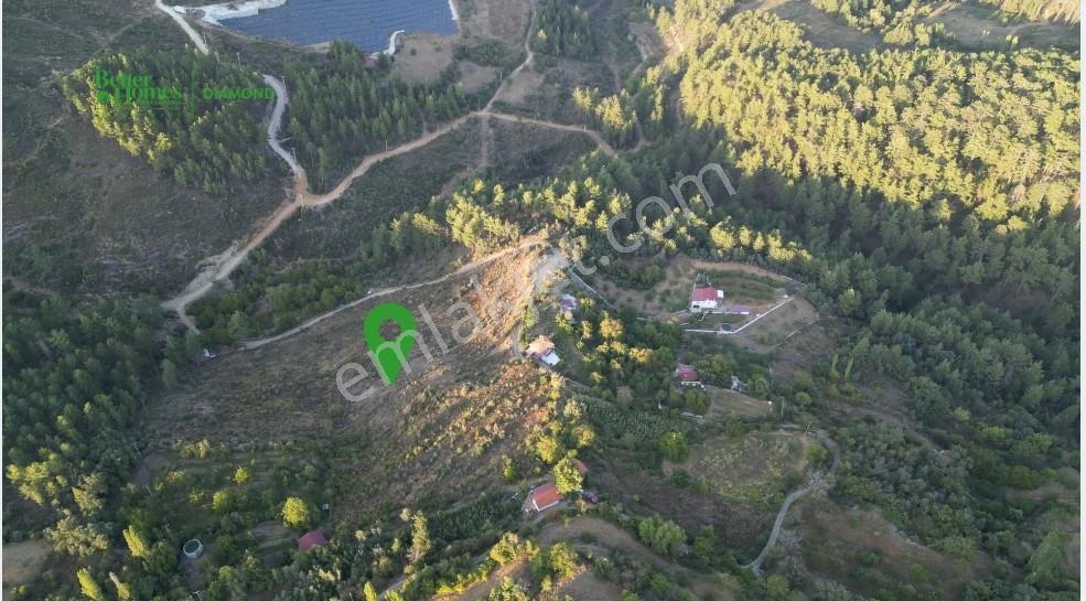 Muğla Kavaklıdere'de Fırsat Satılık Tarla — fotoğraf 2