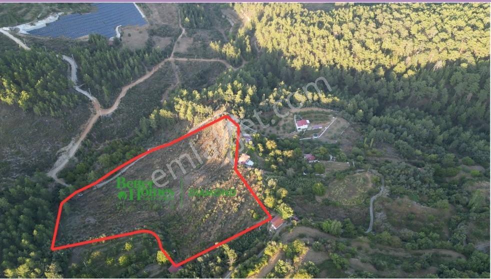 Muğla Kavaklıdere'de Fırsat Satılık Tarla — fotoğraf 3