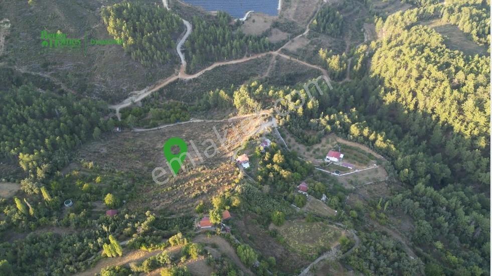 Muğla Kavaklıdere'de Fırsat Satılık Tarla — fotoğraf 4