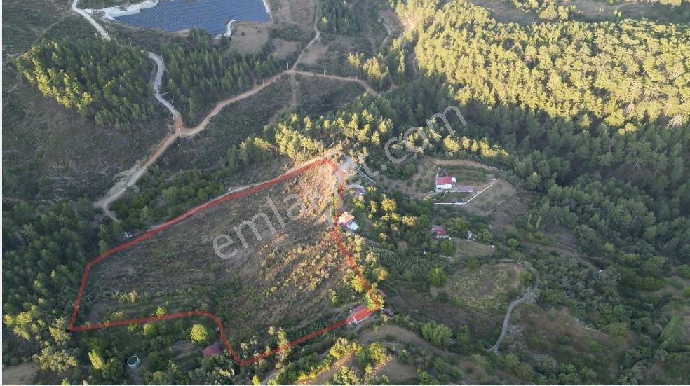Muğla Kavaklıdere'de Fırsat Satılık Tarla — fotoğraf 5