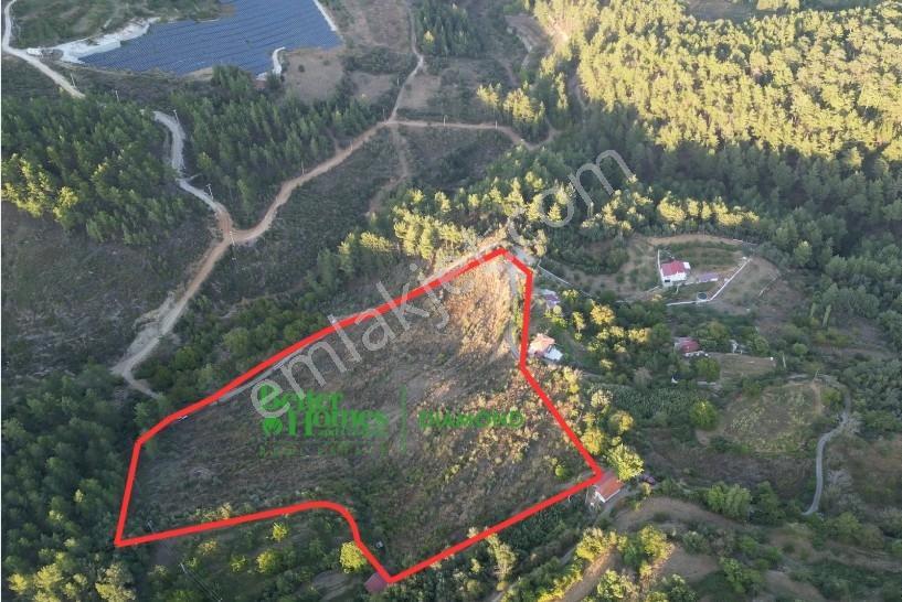 Muğla Kavaklıdere'de Fırsat Satılık Tarla — fotoğraf 7