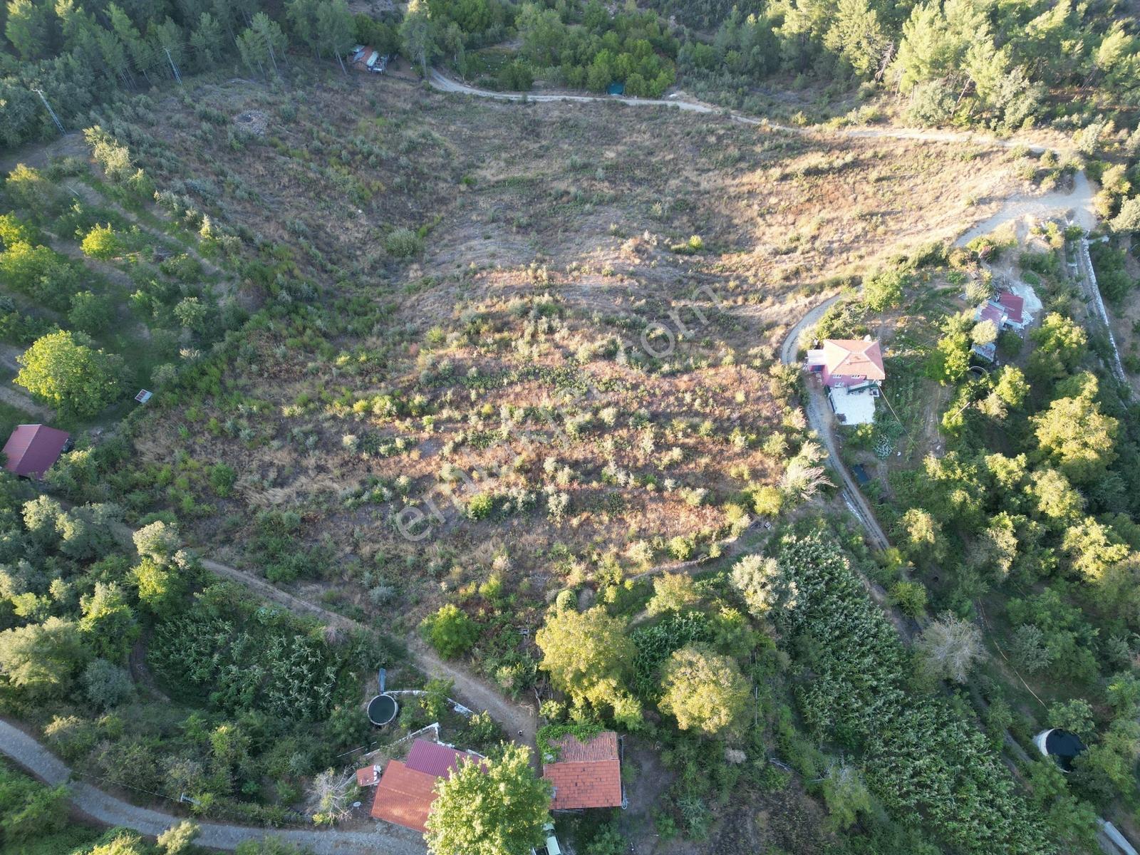 Muğla Kavaklıdere'de Fırsat Satılık Tarla — fotoğraf 8
