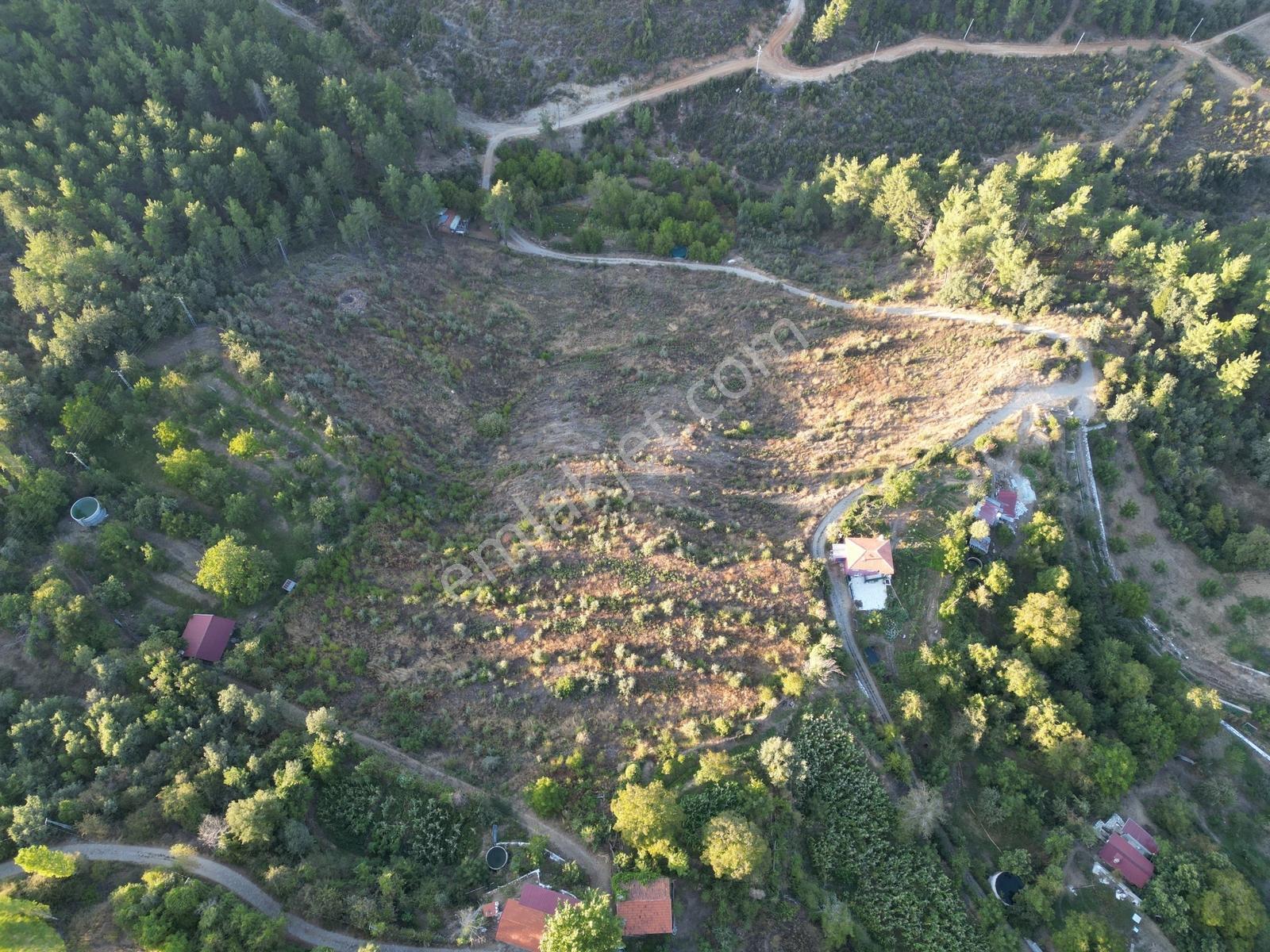 Muğla Kavaklıdere'de Fırsat Satılık Tarla — fotoğraf 9