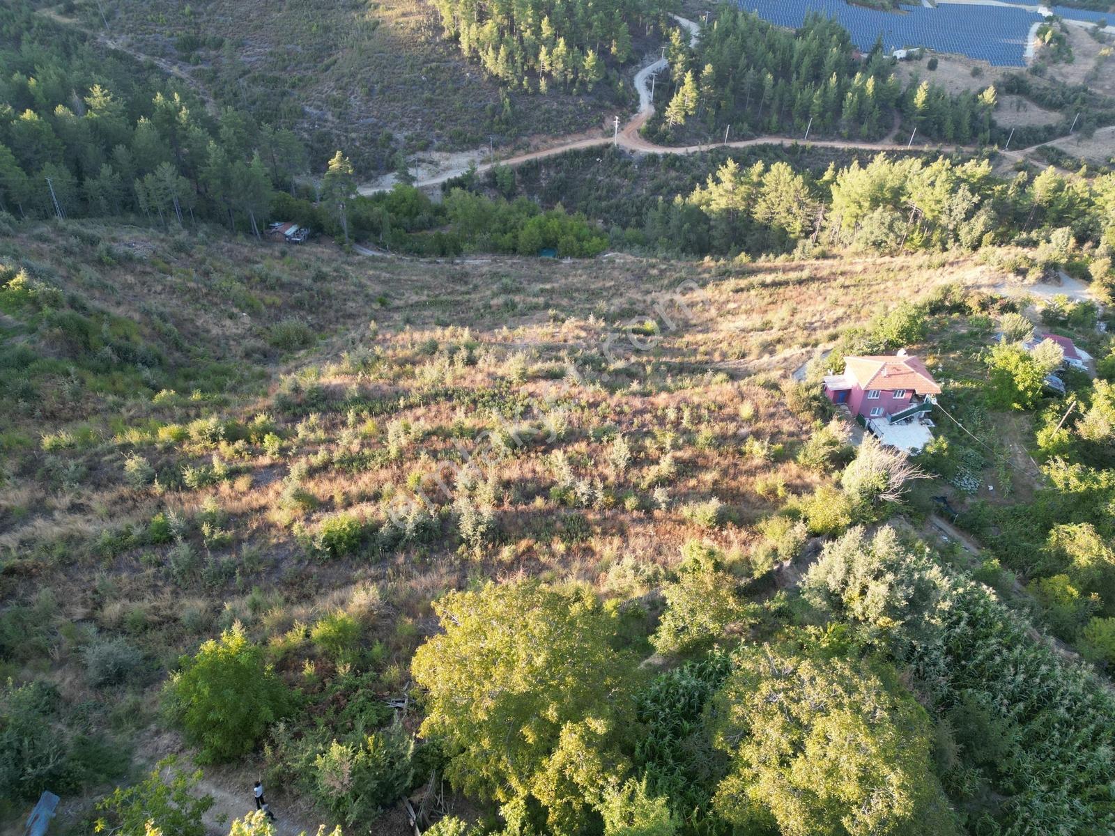 Muğla Kavaklıdere'de Fırsat Satılık Tarla — fotoğraf 10