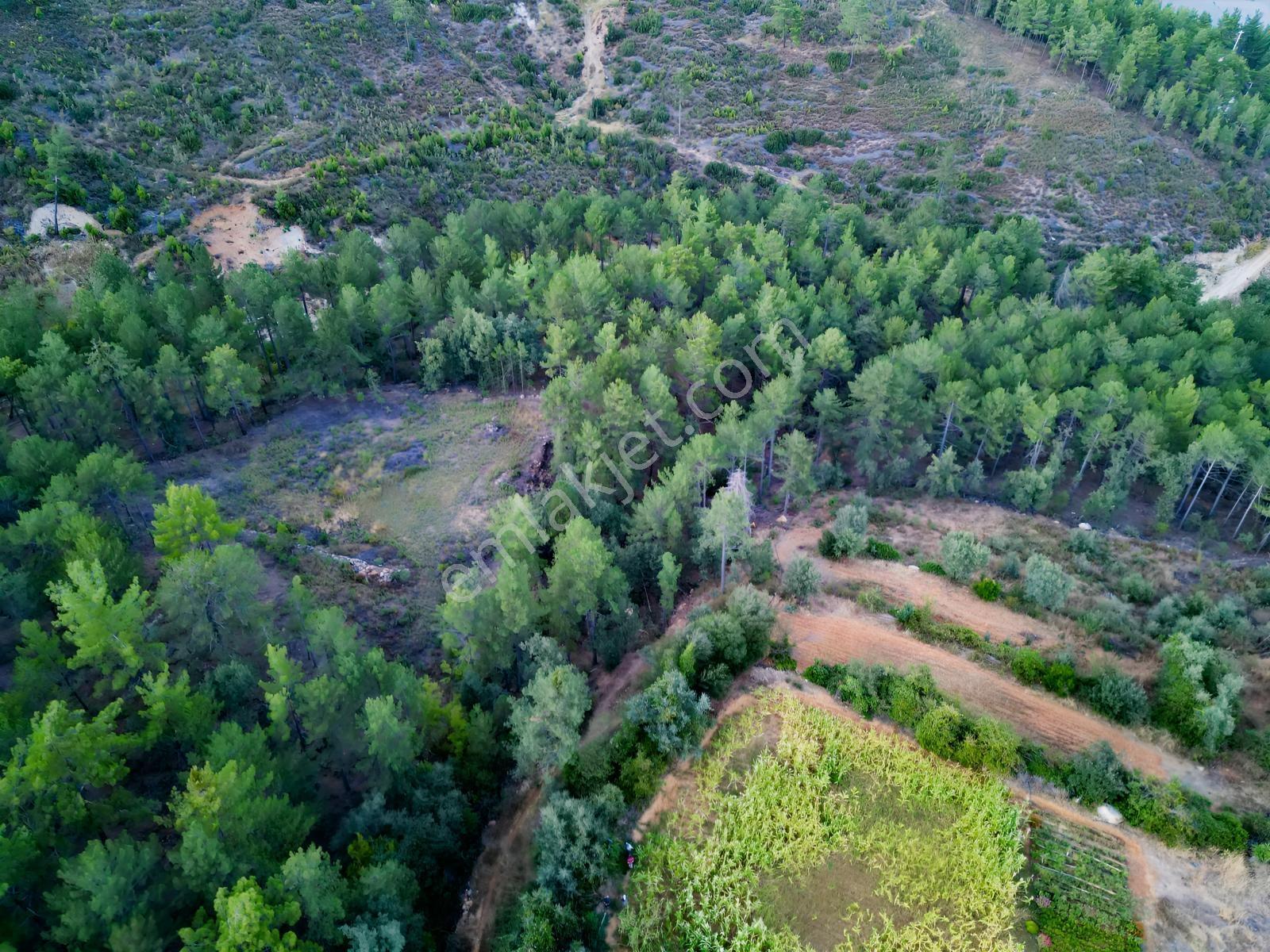 Muğla Kavaklıdere'de Fırsat Satılık Tarla — fotoğraf 11