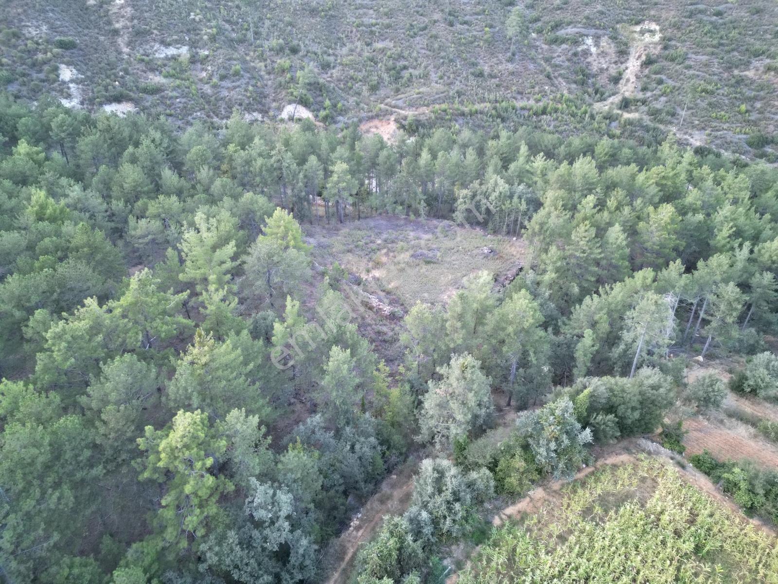 Muğla Kavaklıdere'de Fırsat Satılık Tarla — fotoğraf 12