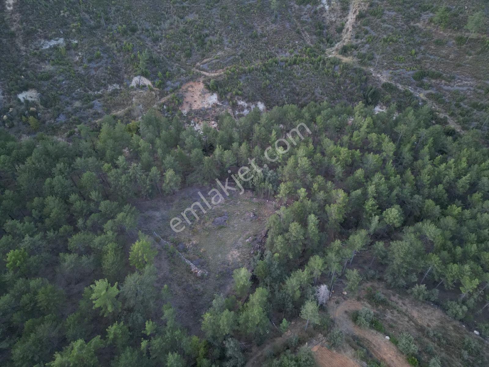 Muğla Kavaklıdere'de Fırsat Satılık Tarla — fotoğraf 13