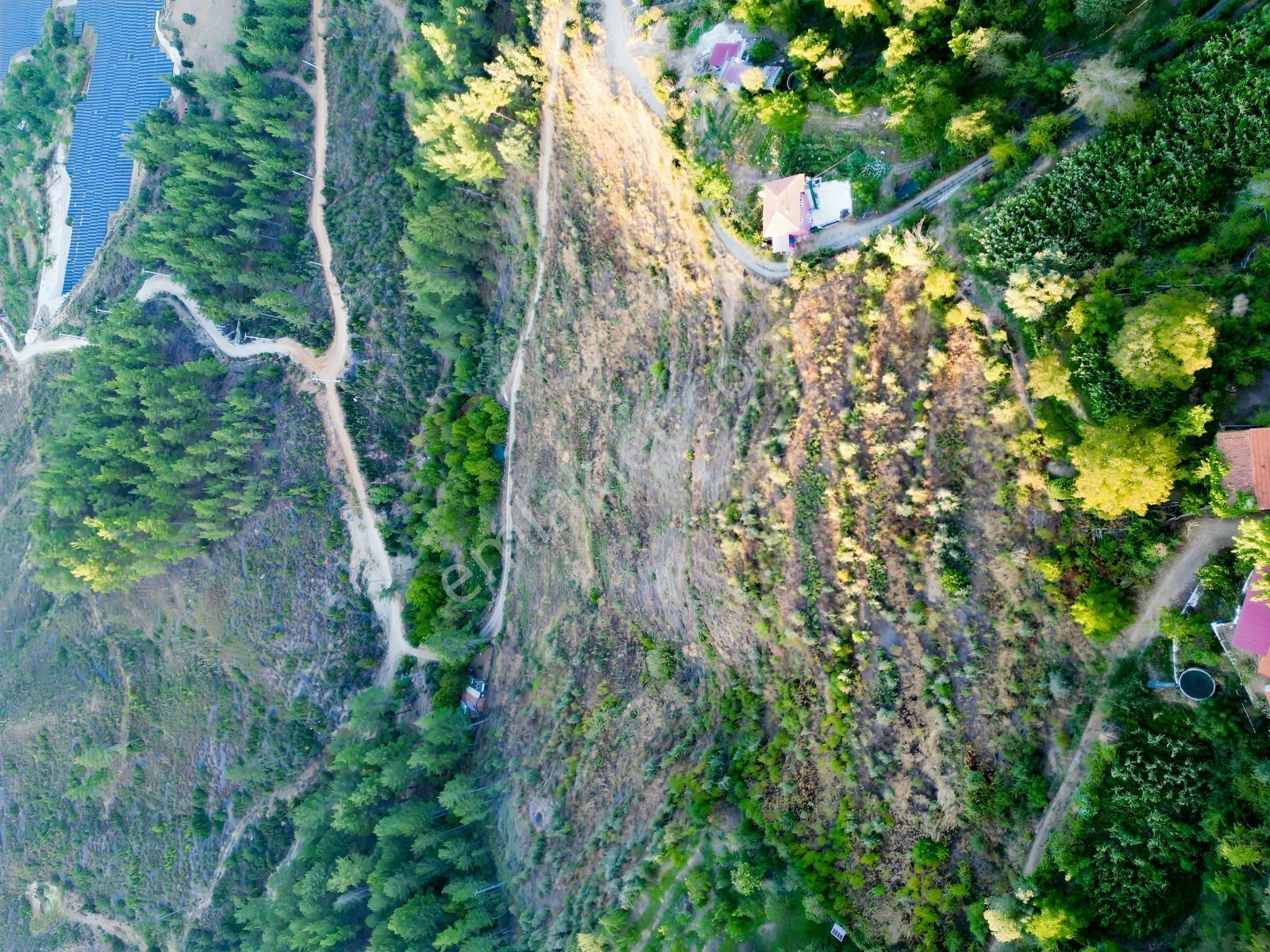 Muğla Kavaklıdere'de Fırsat Satılık Tarla — fotoğraf 14