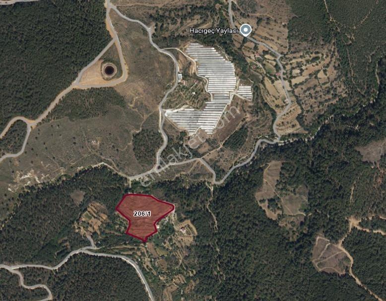 Muğla Kavaklıdere'de Fırsat Satılık Tarla — fotoğraf 16