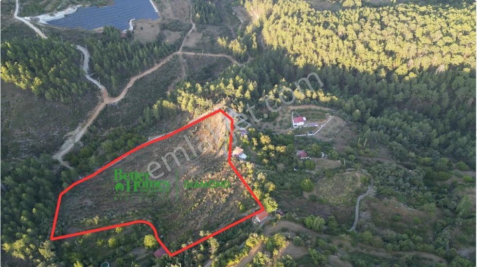 Muğla Kavaklıdere'de Fırsat Satılık Tarla — fotoğraf 17