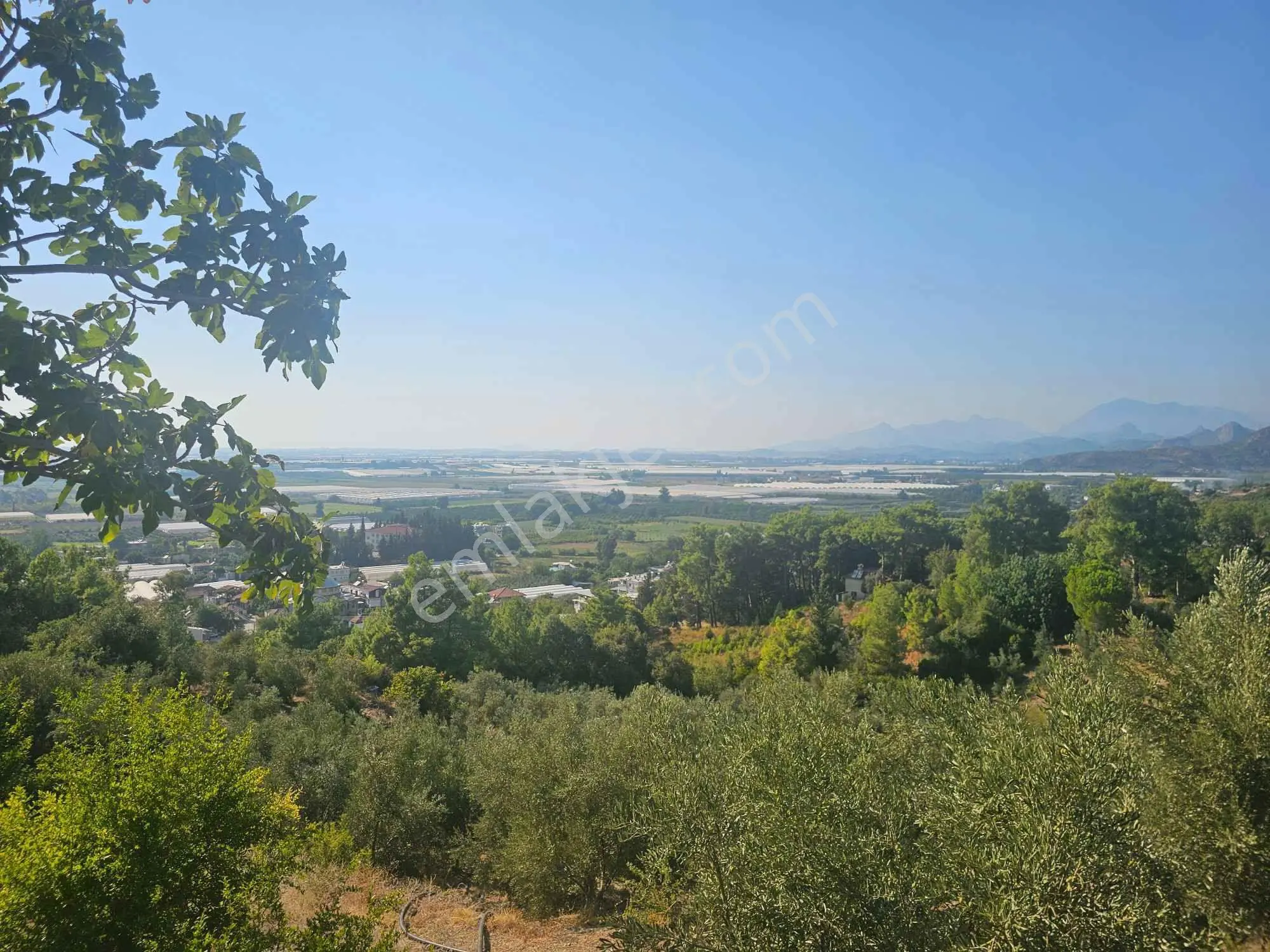 Denız Ve Doğa Manzaralı Çıftlık ,bağ,bahçe,zeytınlık... — fotoğraf 8