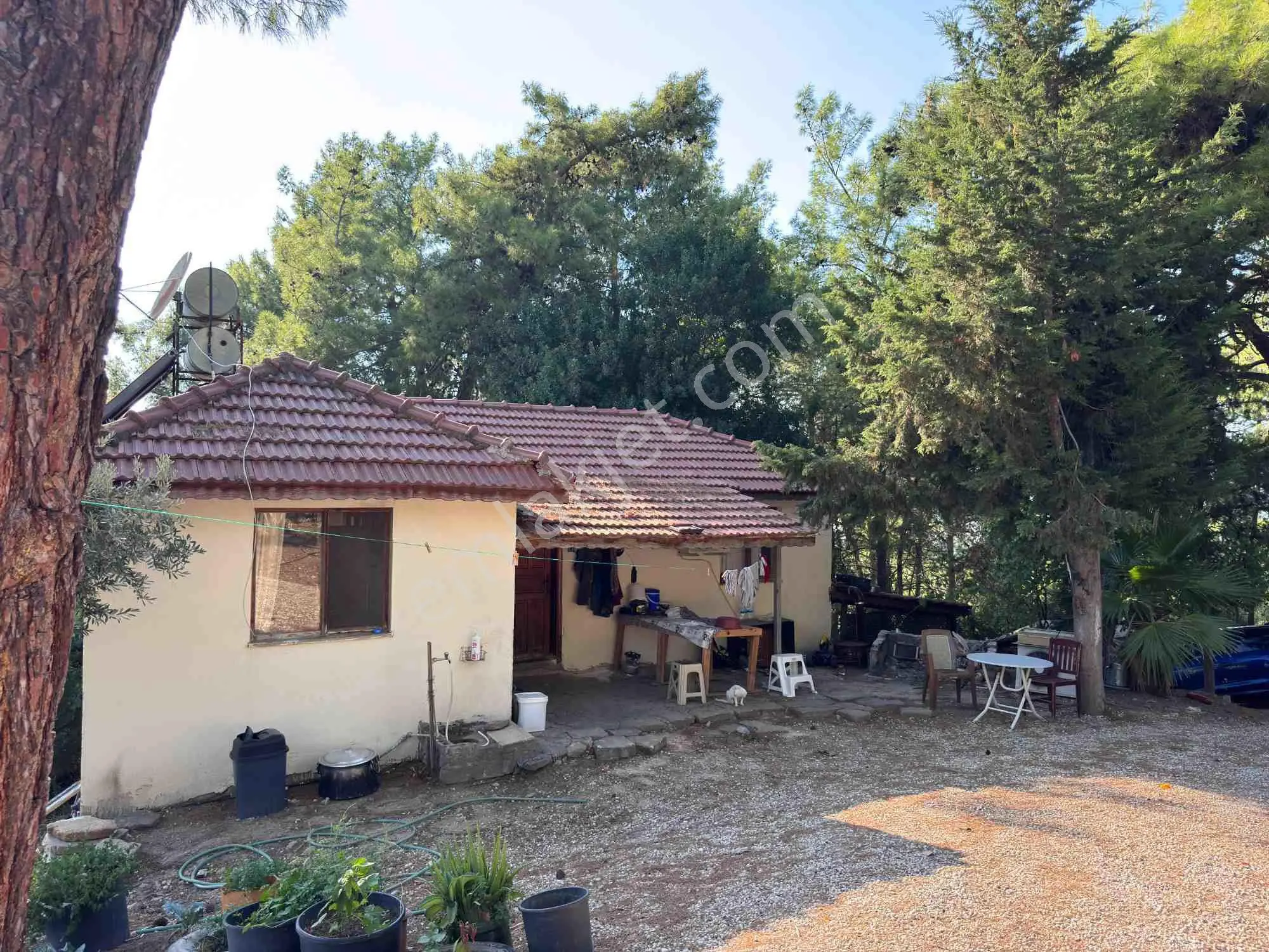 Denız Ve Doğa Manzaralı Çıftlık ,bağ,bahçe,zeytınlık... — fotoğraf 36