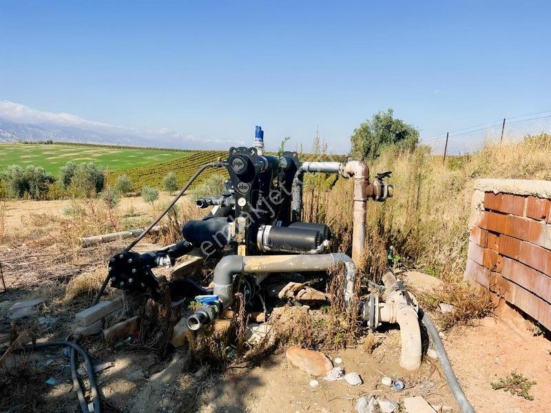 Salihli Torunlu Mahallesinde Satılık 14 Dönüm Üzüm Bağı... — fotoğraf 15