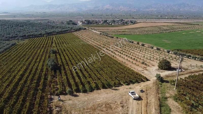 Salihli Torunlu Mahallesinde Satılık 14 Dönüm Üzüm Bağı... — fotoğraf 26