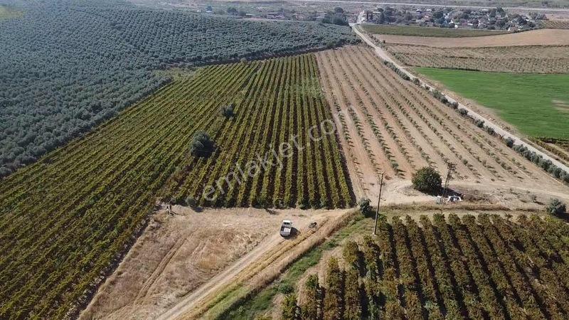 Salihli Torunlu Mahallesinde Satılık 14 Dönüm Üzüm Bağı... — fotoğraf 35