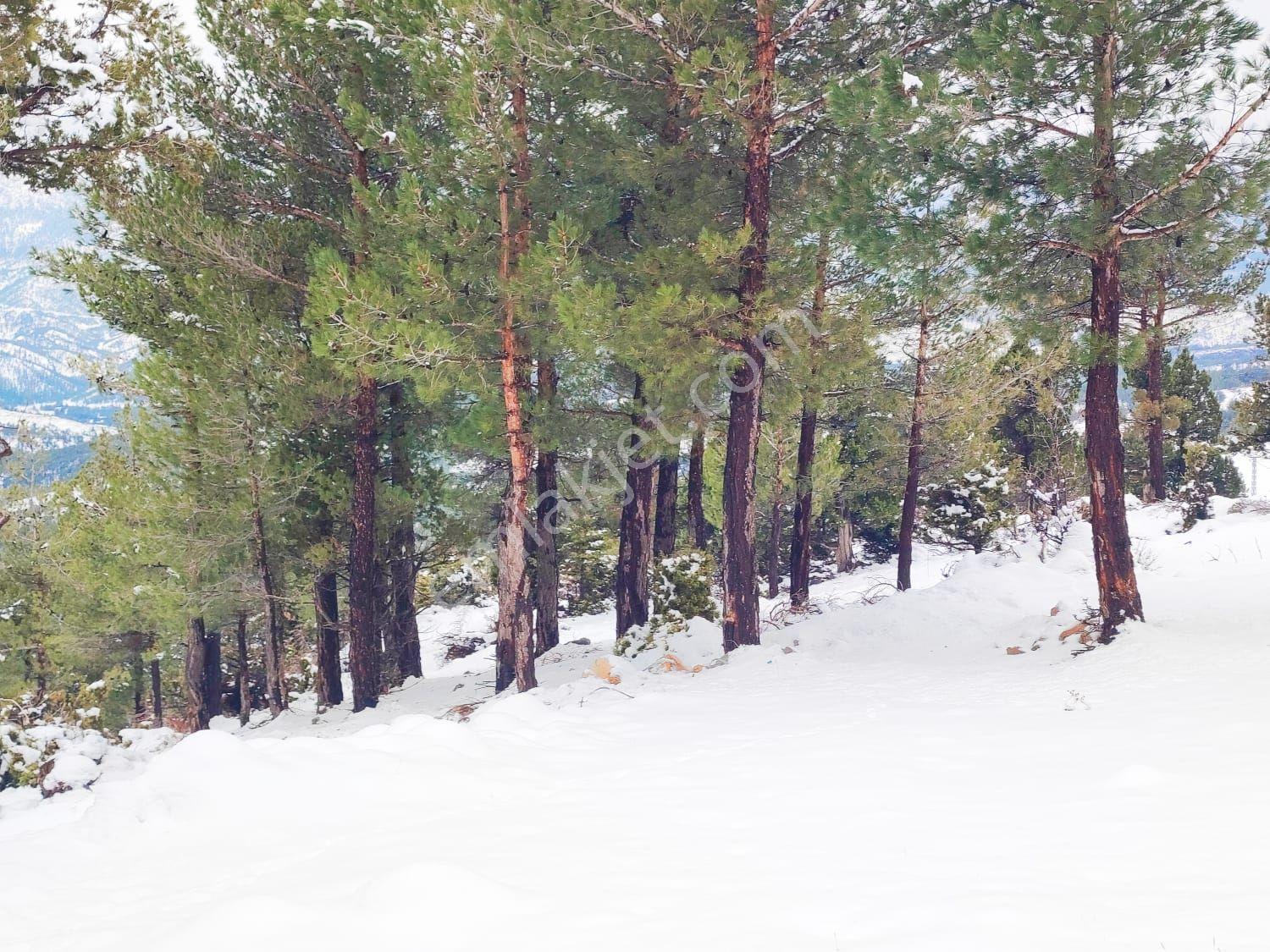 Kar Emlak Tan Yeni Konacık Bozkırlı Mevkiinde Yaylalık 450 M2 Satılık Arsa — fotoğraf 17