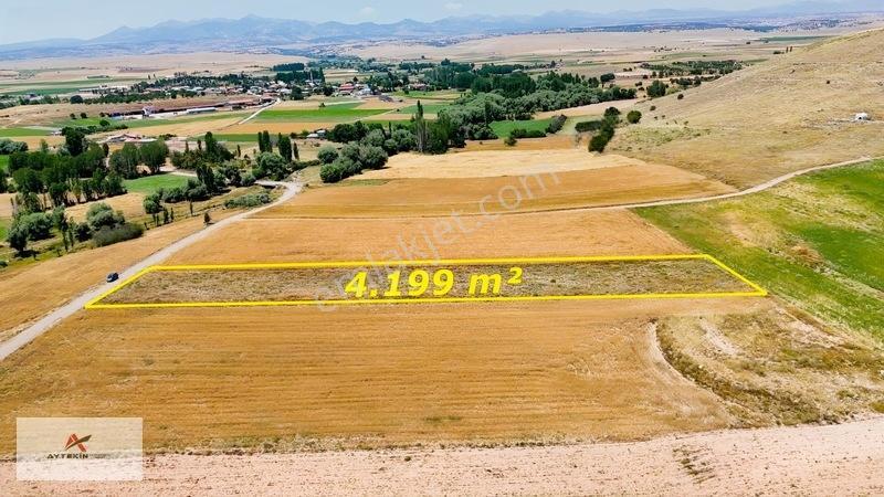 Yaz-kış Gidilebilecek, Yatırımlık 4.199 M² Tarla — fotoğraf 3