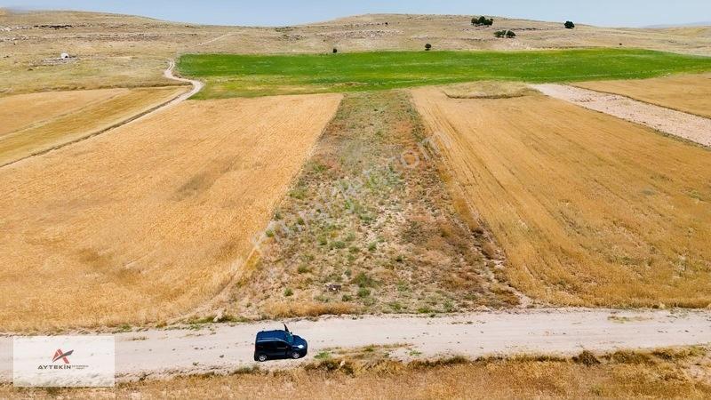 Yaz-kış Gidilebilecek, Yatırımlık 4.199 M² Tarla — fotoğraf 4