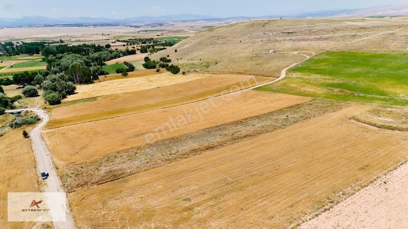 Yaz-kış Gidilebilecek, Yatırımlık 4.199 M² Tarla — fotoğraf 5
