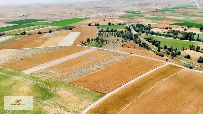 Yaz-kış Gidilebilecek, Yatırımlık 4.199 M² Tarla — fotoğraf 8