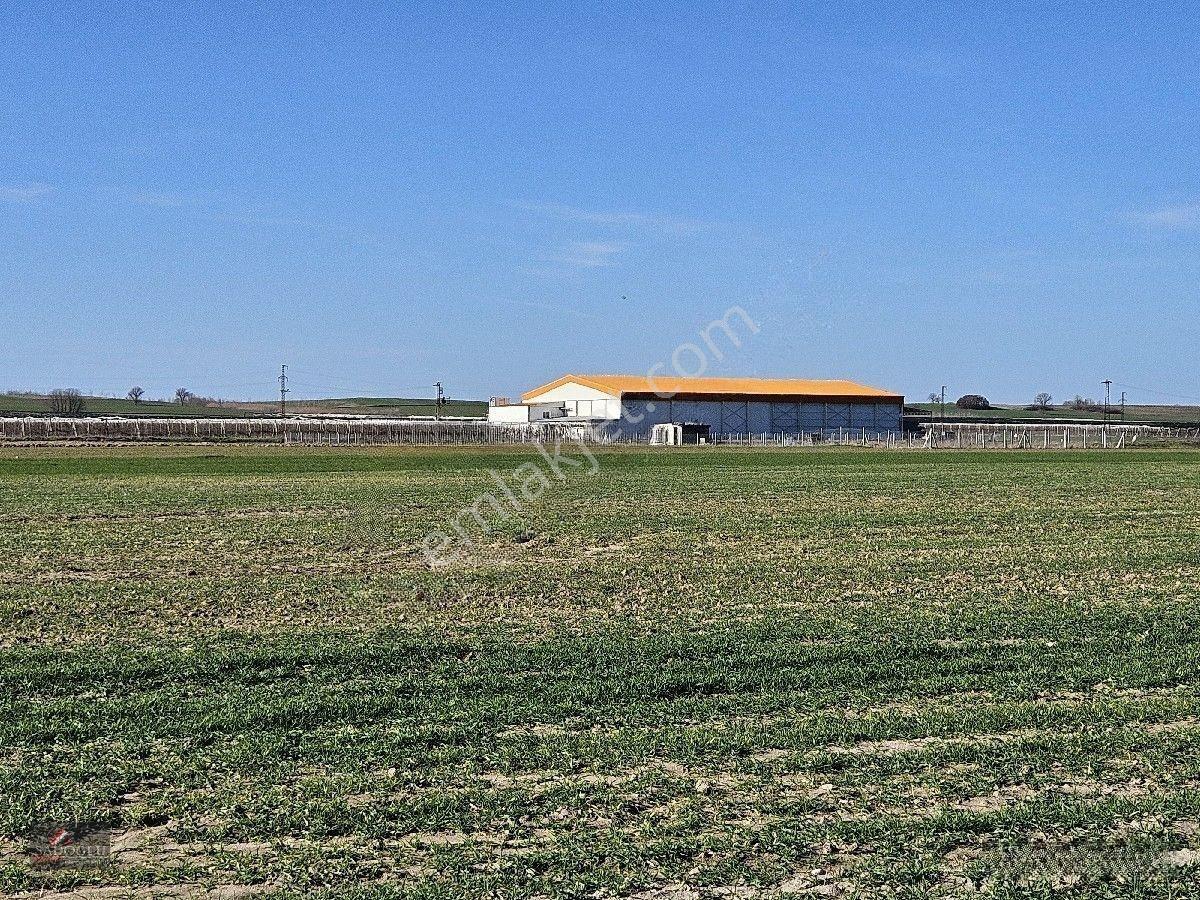 Lüleburgaz Ovacık Köyün'de 6.200 M2 Satılık Arazi — fotoğraf 27