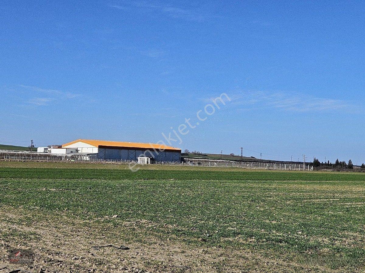 Lüleburgaz Ovacık Köyün'de 6.200 M2 Satılık Arazi — fotoğraf 28