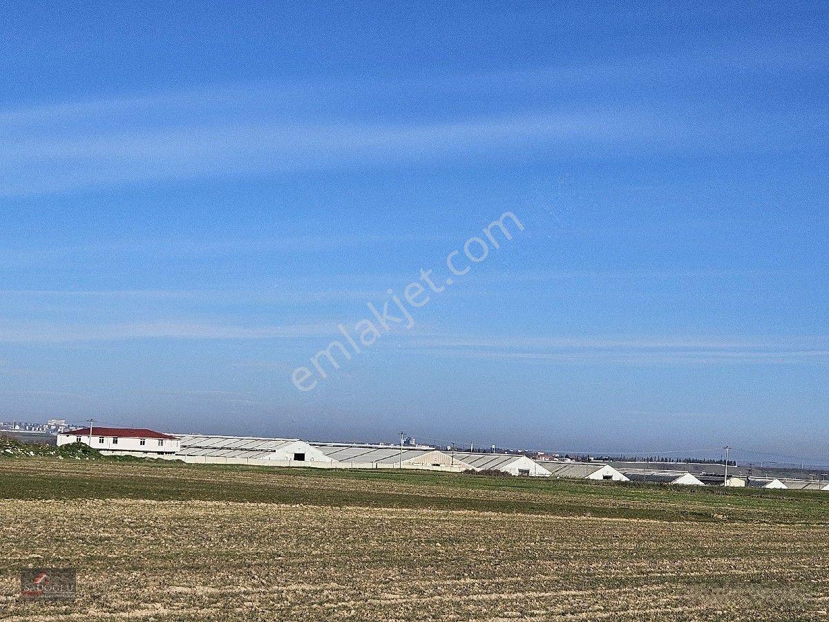 Lüleburgaz Ovacık Köyün'de 6.200 M2 Satılık Arazi — fotoğraf 32