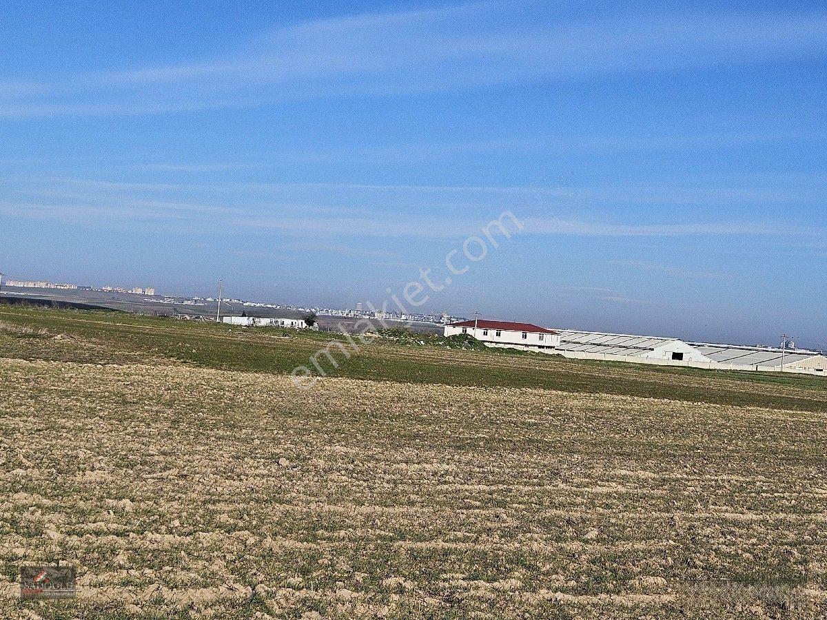 Lüleburgaz Ovacık Köyün'de 6.200 M2 Satılık Arazi — fotoğraf 33