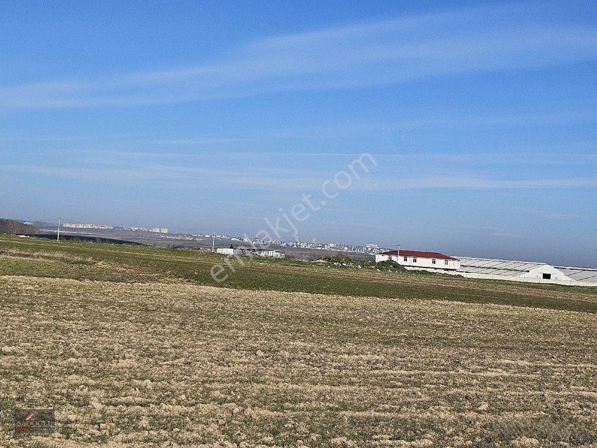 Lüleburgaz Ovacık Köyün'de 6.200 M2 Satılık Arazi — fotoğraf 34