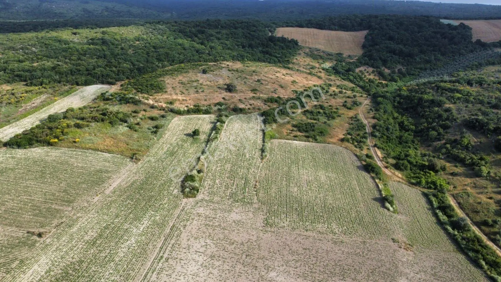 Karacabey Çamlıca Köyünde 4.250 M² Tek Tapu Satılık Tarla — fotoğraf 2