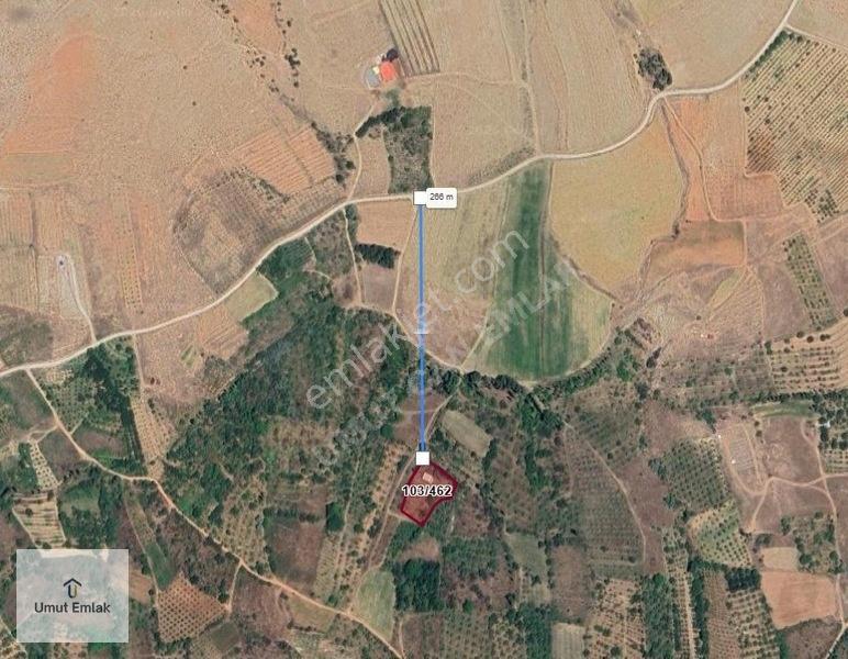 Tek Tapu Ana Yola 260 Metre Düz Sulu Tarla Toprağım Yok Demeden