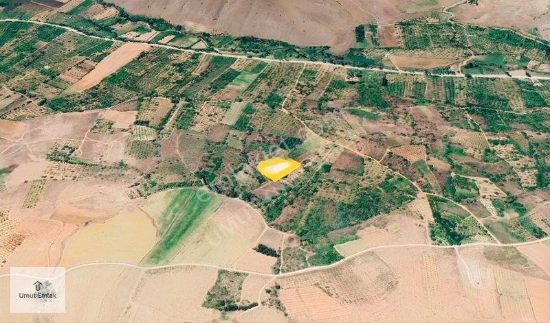 Tek Tapu Ana Yola 260 Metre Düz Sulu Tarla Toprağım Yok Demeden — fotoğraf 4