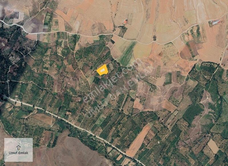 Tek Tapu Ana Yola 260 Metre Düz Sulu Tarla Toprağım Yok Demeden — fotoğraf 5
