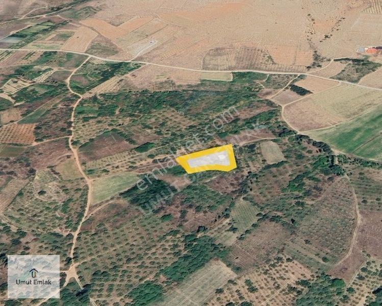 Tek Tapu Ana Yola 260 Metre Düz Sulu Tarla Toprağım Yok Demeden — fotoğraf 6