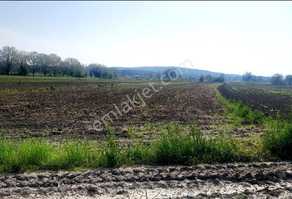 Sakarya Söğütlü Kurudil Mahallesinde Satılık 6.023 M² Tarla — fotoğraf 2