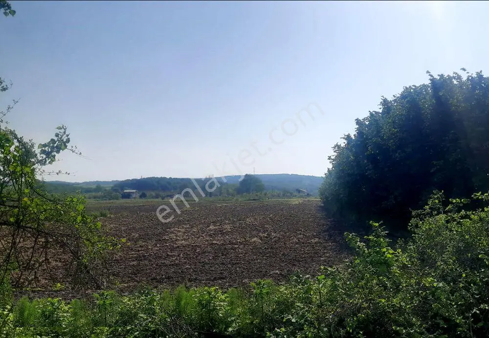 Sakarya Söğütlü Kurudil Mahallesinde Satılık 6.023 M² Tarla — fotoğraf 3