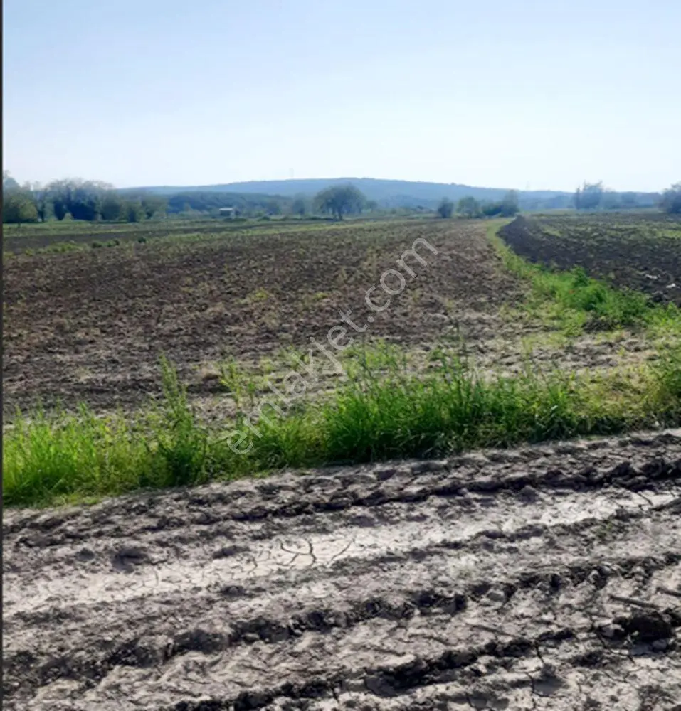 Sakarya Söğütlü Kurudil Mahallesinde Satılık 6.023 M² Tarla — fotoğraf 4