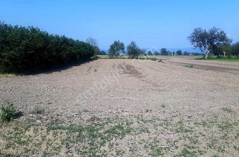 Sakarya Söğütlü Kurudil Mahallesinde Satılık 6.023 M² Tarla — fotoğraf 7