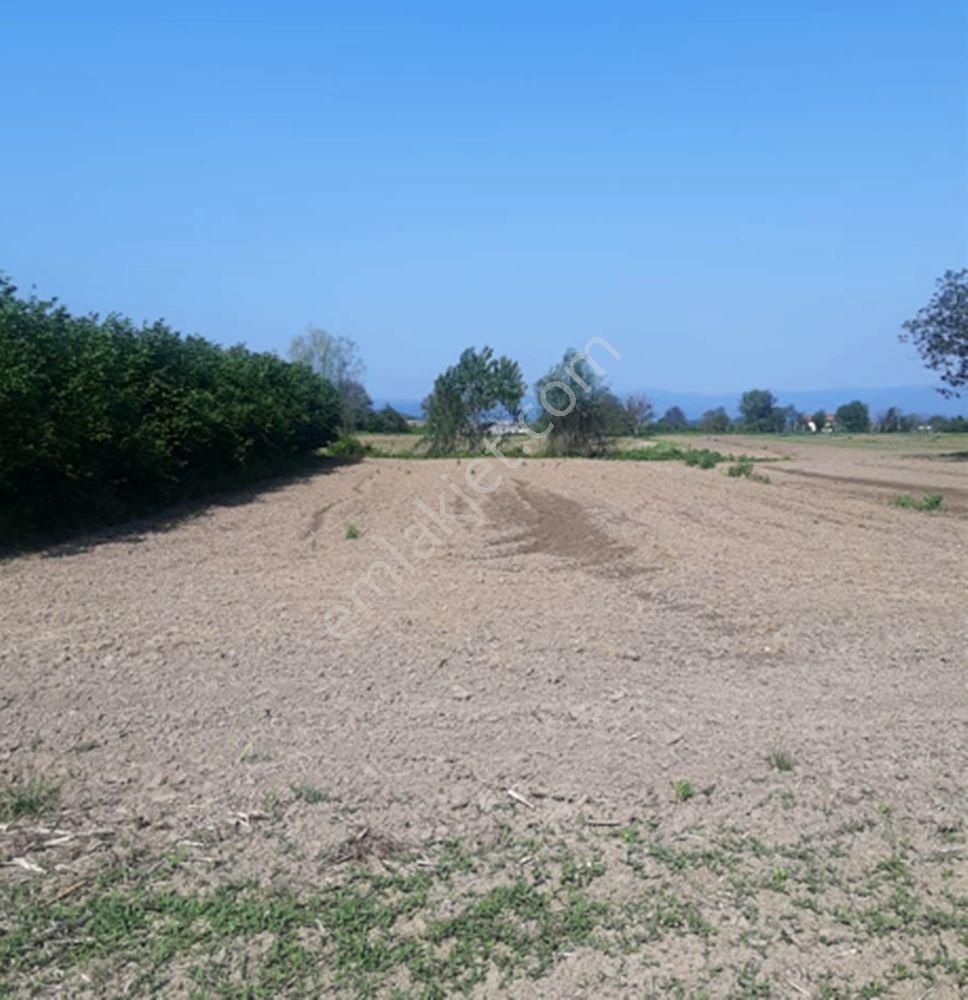 Sakarya Söğütlü Kurudil Mahallesinde Satılık 6.023 M² Tarla — fotoğraf 8