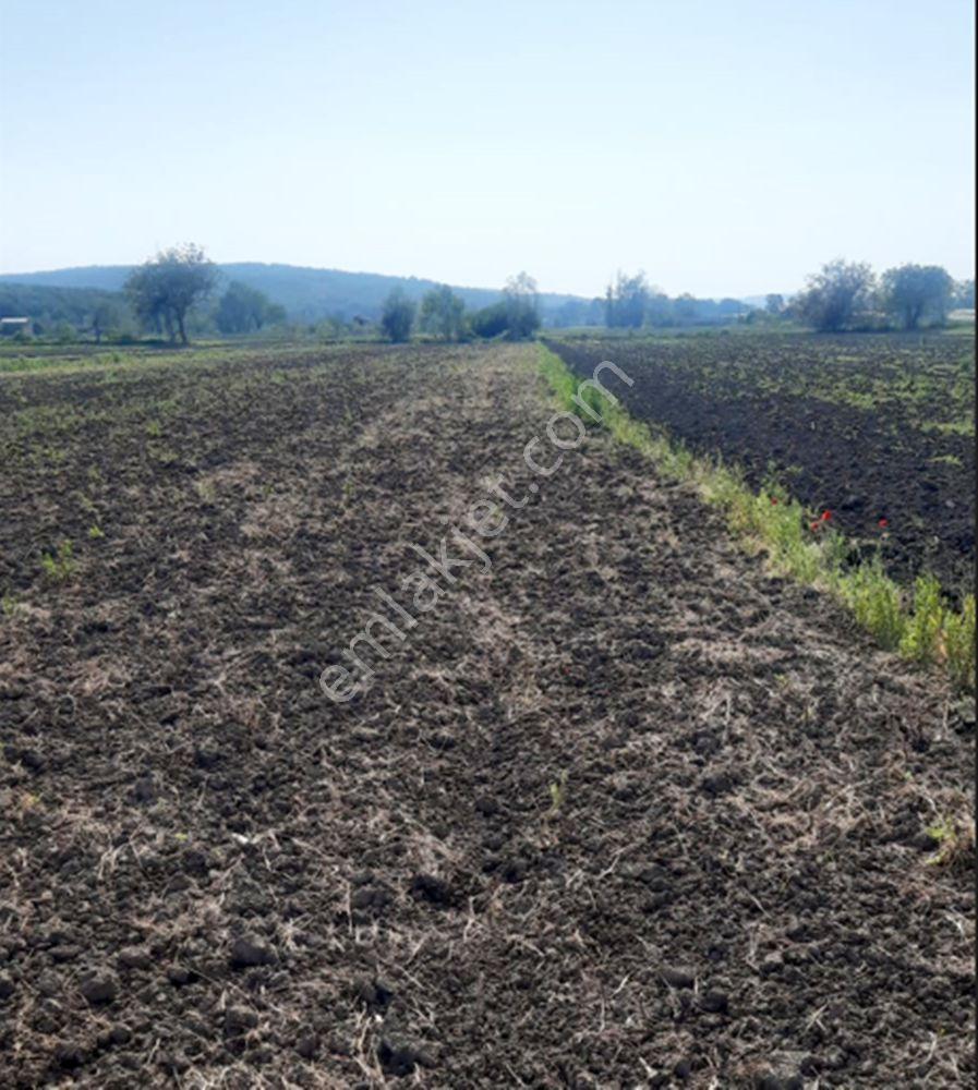 Sakarya Söğütlü Kurudil Mahallesinde Satılık 6.023 M² Tarla — fotoğraf 11