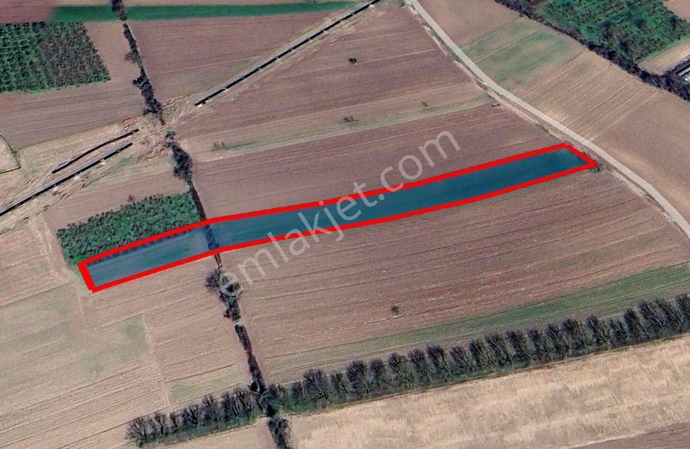 Sakarya Söğütlü Kurudil Mahallesinde Satılık 6.023 M² Tarla — fotoğraf 13