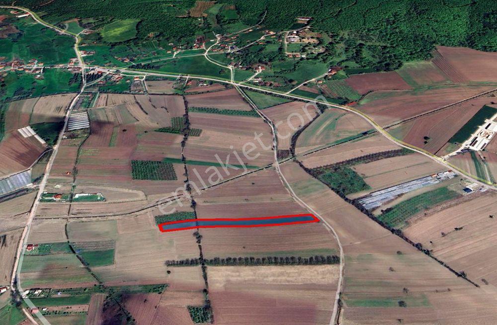 Sakarya Söğütlü Kurudil Mahallesinde Satılık 6.023 M² Tarla — fotoğraf 14