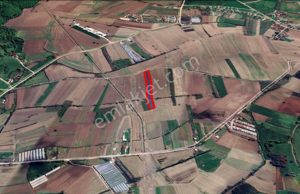 Sakarya Söğütlü Kurudil Mahallesinde Satılık 6.023 M² Tarla — fotoğraf 15