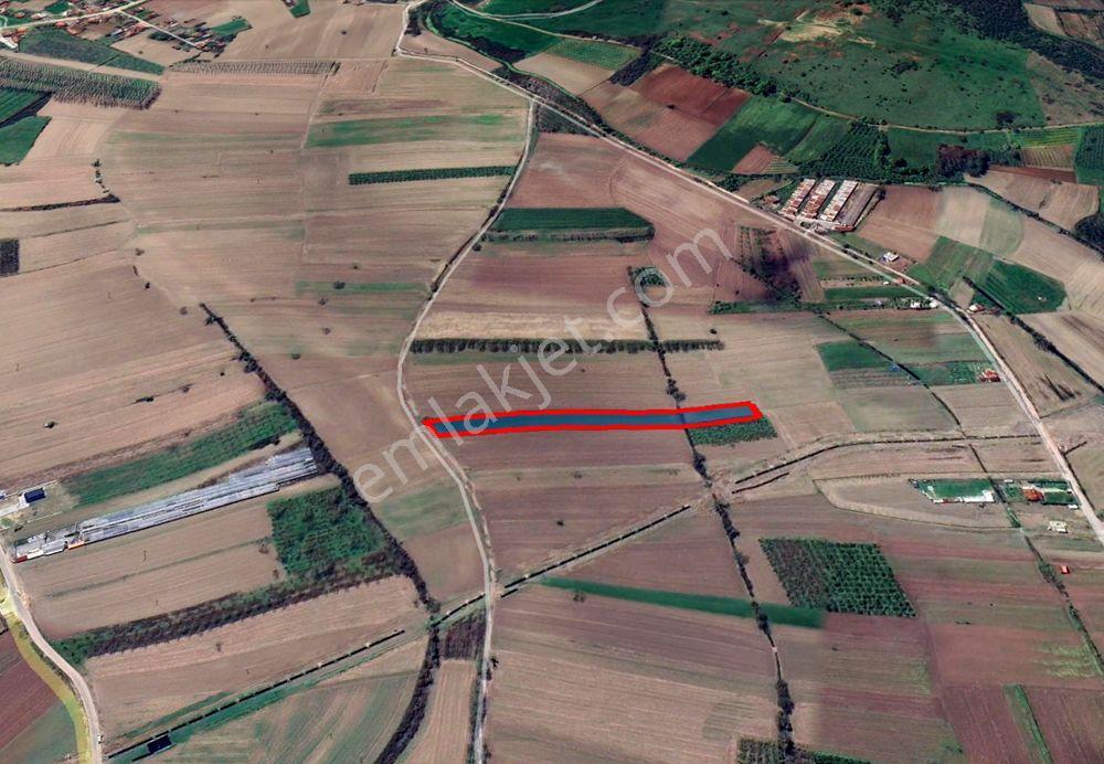 Sakarya Söğütlü Kurudil Mahallesinde Satılık 6.023 M² Tarla — fotoğraf 16