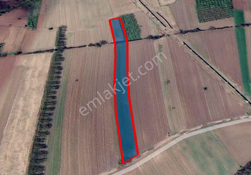 Sakarya Söğütlü Kurudil Mahallesinde Satılık 6.023 M² Tarla — fotoğraf 18