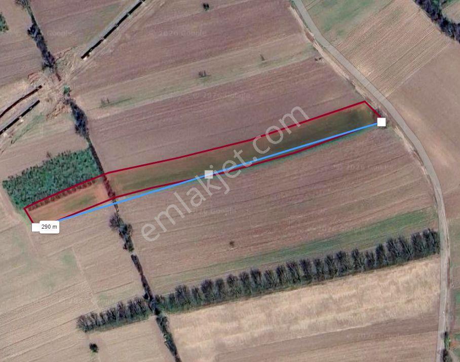 Sakarya Söğütlü Kurudil Mahallesinde Satılık 6.023 M² Tarla — fotoğraf 19