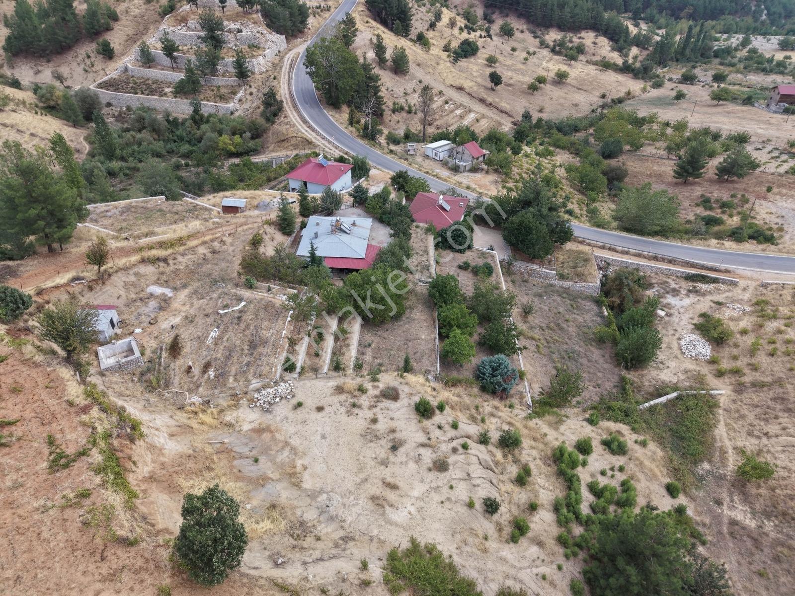 Yeni Rota'dan Tekir Alaçayır'da Ana Yol Kenarı Satılık Bağ — fotoğraf 4