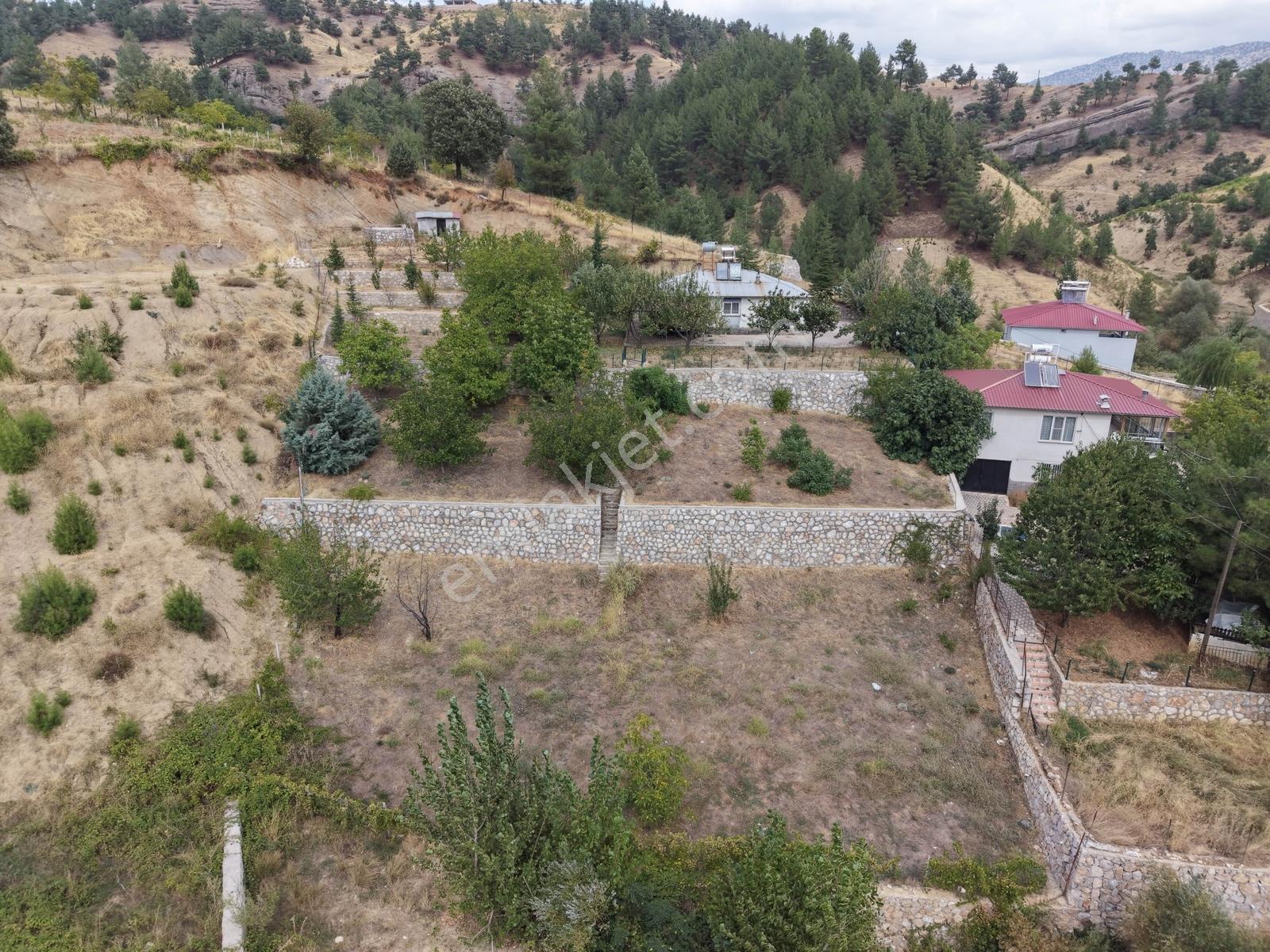 Yeni Rota'dan Tekir Alaçayır'da Ana Yol Kenarı Satılık Bağ — fotoğraf 5