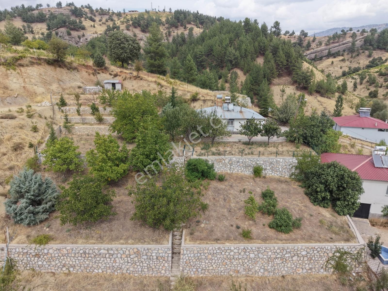 Yeni Rota'dan Tekir Alaçayır'da Ana Yol Kenarı Satılık Bağ — fotoğraf 6