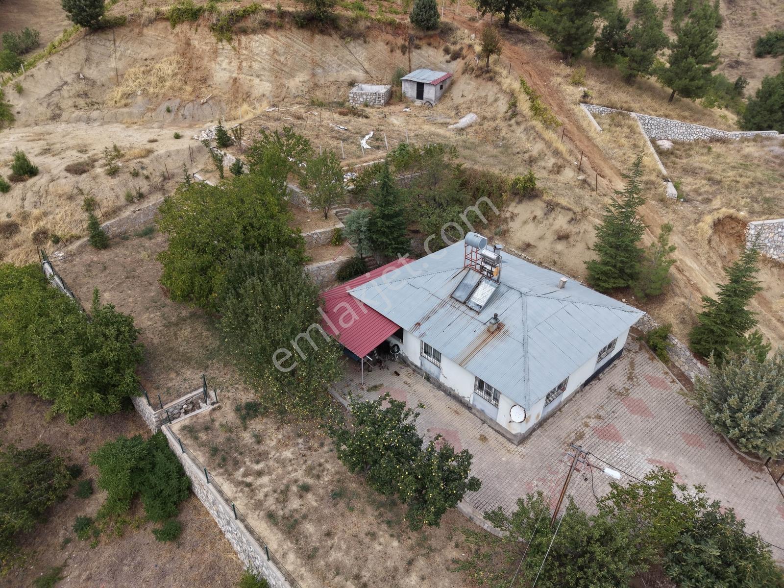 Yeni Rota'dan Tekir Alaçayır'da Ana Yol Kenarı Satılık Bağ — fotoğraf 7
